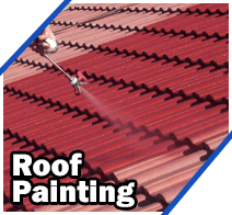 Roof Painting